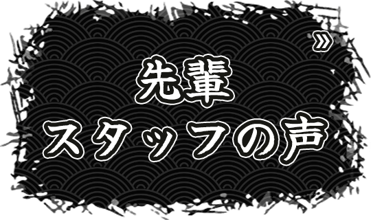 先輩スタッフの声